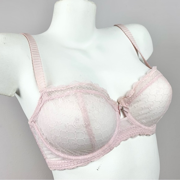 Chantelle Intimates & Sleepwear Chantelle C Chic 3645 32dd Bra Lace Sheer Pink Balletcore